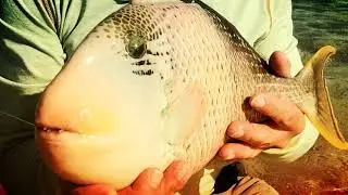 Kiribati Short Movie