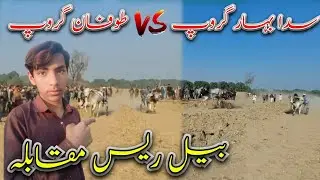 Sada Bahar🥀 Group Vs Tufan🌧️ Group Bail Race🏃 Mukabala