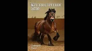 Kaltblutkalender 2026 Hochformat mit Sonderaktion