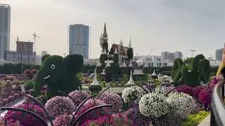 Miracle garden Dubai