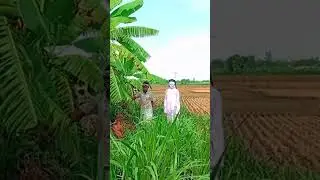 FUNNY KING SCARY GHOST PRANK FOR LAUGHING ! part (6) # Shit Prank #Fake ghost #NUN Prank