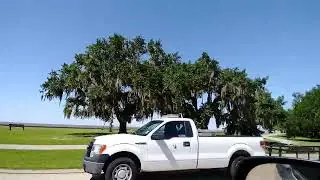 Mandeville Lakefront - area of Lefayette St