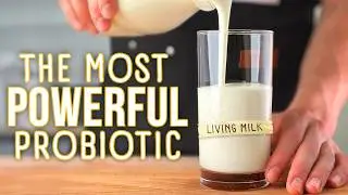 How to Make the Most POWERFUL Probiotic | Homemade Kefir