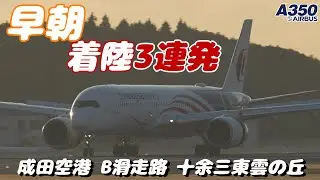 【4K】成田空港 十余三東雲の丘 Ｂランに着陸するエアーバスA350３連発