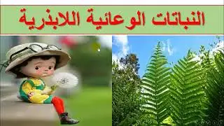 شرح النباتات الوعائية اللابذرية أحياء ثاني ثانوي