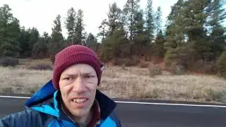 Free camping in Cibola National Forest near Gallup New Mexico