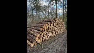 Groesbeekse bos