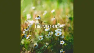 I Give You My Heart (Instrumental)