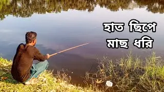 Fishing video.Catching Rohu Fish.Traditional fishing life