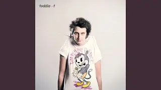 Fly
