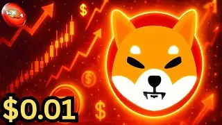 Breaking News: Things Just Got Bullish For SHIB Inu Coin & BONE