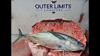 TORRES 2 DAY CHARTER 2023 - DAY 1