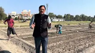प्राकृतिक खेती में सहफसल प्रणाली II Intercropping system under natural farming