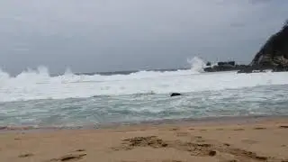 Bah&iacute;a de Tembo, San Pedro Pochutla Oaxaca M&eacute;xico 🇲🇽