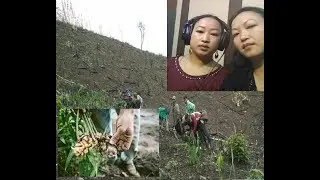 Sawhthing Hla - C Malsawmtluangi (Sawmtei) te unau // Zoram People's Movement (ZPM)