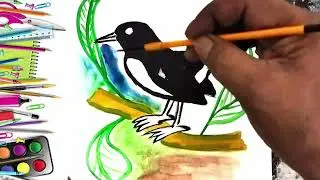 How to Draw The National Bird of Bangladesh | The Magpie Robin | Doel | Salim Art Gallery