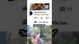 just a little boy