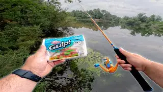 1H pour P&Ecirc;CHER un max de poissons avec cette CANNE pour ENFANT !