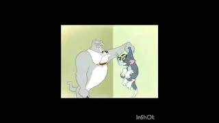 Tom jerry cid Musa 