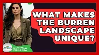 What Makes The Burren Landscape Unique? - Discovering Ireland Now