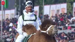 Indian Army's Animal Contingent Spotlight At The 77th Republic Day Parade | Kartavya Path