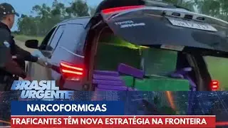 'Narcoformigas do PCC' recheiam carros com drogas e cigarros | Brasil Urgente