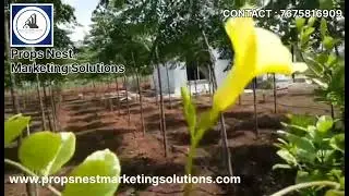 🌱 &frac12; Acre Premium Farm Land for Sale near Shankarpally! Clear Title Farm Land at a reasonable price #