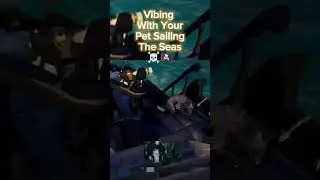Sea of Thieves - Vibing With Your Pet #seaofthieves #pirate #fox #gaming #pets #bemorepirate #xbox
