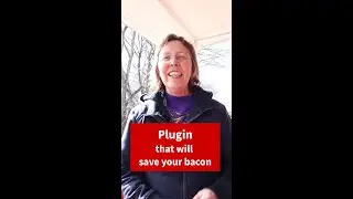 Plugin will save your bacon - WP Rollback