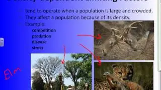 Limiting Factors