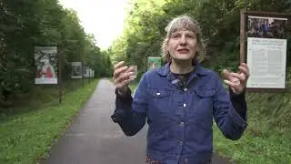 Journal d'une exploration dans les collines voisines | Par C&eacute;cile Gambini