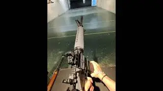 PSA AR-15 #shorts #shortsfeed