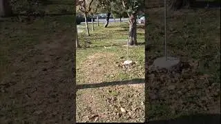 M&ouml;lkky training.  #m&ouml;lkky #outdoorgames #kalamata #hellas #greece