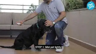 How to use - Scent&rsquo;sationally Yours Cologne Spray - Dog Cologne
