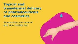 Strat-M&reg; membranes mimic human skin to simplify experimental design