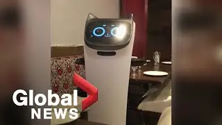BC restaurants seek robotic help during labour shortage