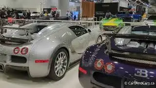 4 Bugatti Veyron - Ultimate Hypercar Collection + in Motion #bugatti