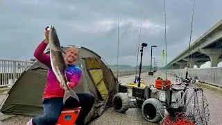 2 Days Camping on a Pier chasing this RARE Fish!