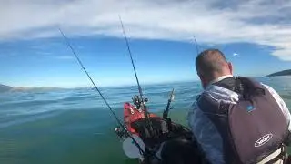 kapiti Snapper fishing