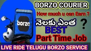 Borzo Courier Bike Delivery||Best part Time Jobs||Telugu Bike Taxi vlogs||@ntvlogs4895