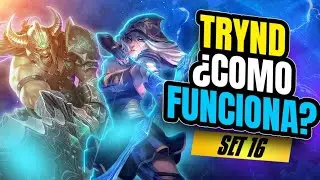 ¿QUIÉN DEJÓ PASAR ESTE TRYNDAMERE? 🤯