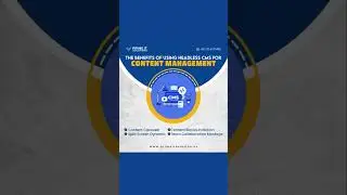 🚀 Discover the Future of Content Management with Prime IT Solutions!