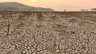 Join the Fight Against Climate Change at UCL