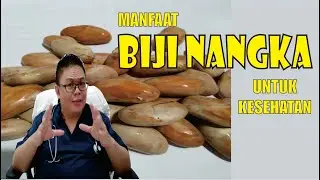 MANFAAT BIJI NANGKA UNTUK KESEHATAN
