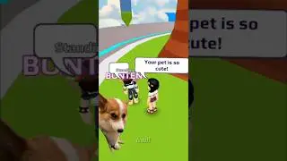 🤣 I got Hank | Funny Pet Trade #pkxd #trending #funny
