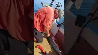 Part 2 Lake Superior fishing Ontonagon 2024