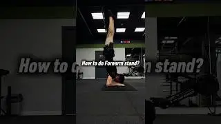 How to do Forearm stand? #calisthenics #fitness #workout #bodyweighttraining #homeworkout