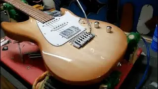 Panico guitars V Series