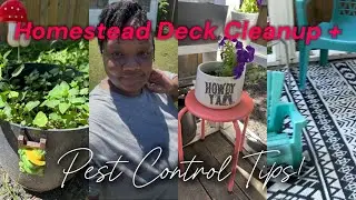 Homestead Deck Cleanup + Pest Control Tips!
