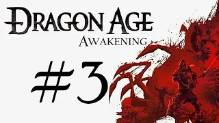 Dragon Age: Origins &mdash; Awakening. Прохождение. #3